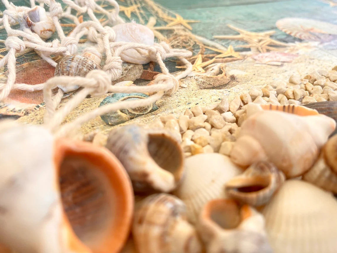 Sea Symphony Artwork Frame Moss Sea Shells Fishing Net Fishеrmаn