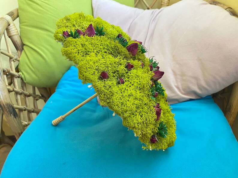 Celebrate Spring with the Beauty of Natural Moss Decor